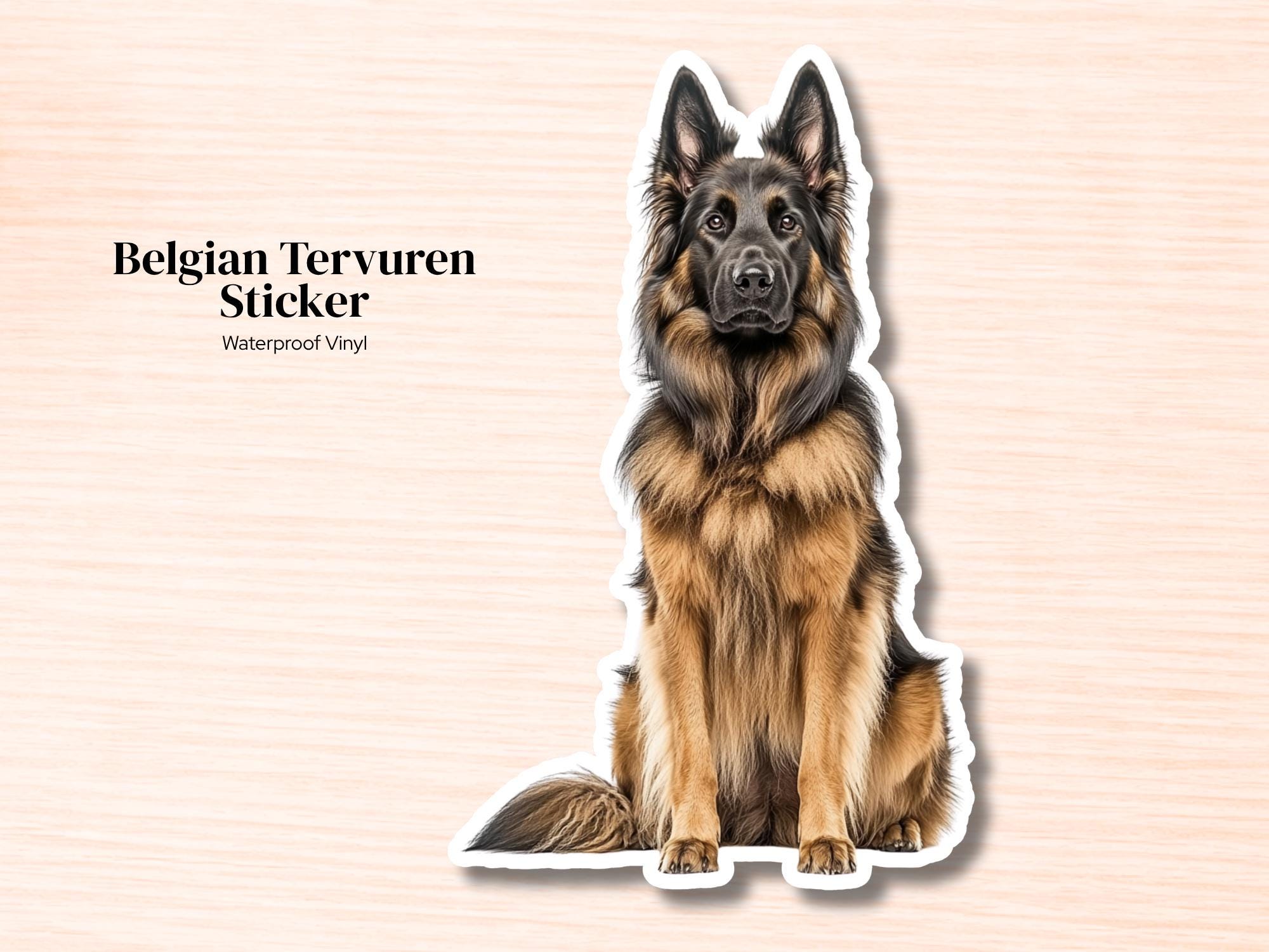 Belgian Tervuren Sticker | Waterproof Vinyl Dog Decal