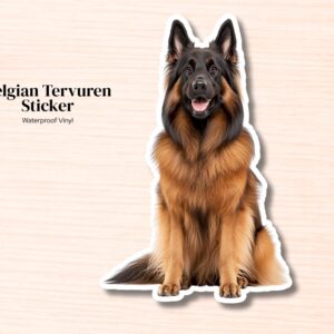 Belgian Tervuren Sticker | Waterproof Vinyl Dog Decal