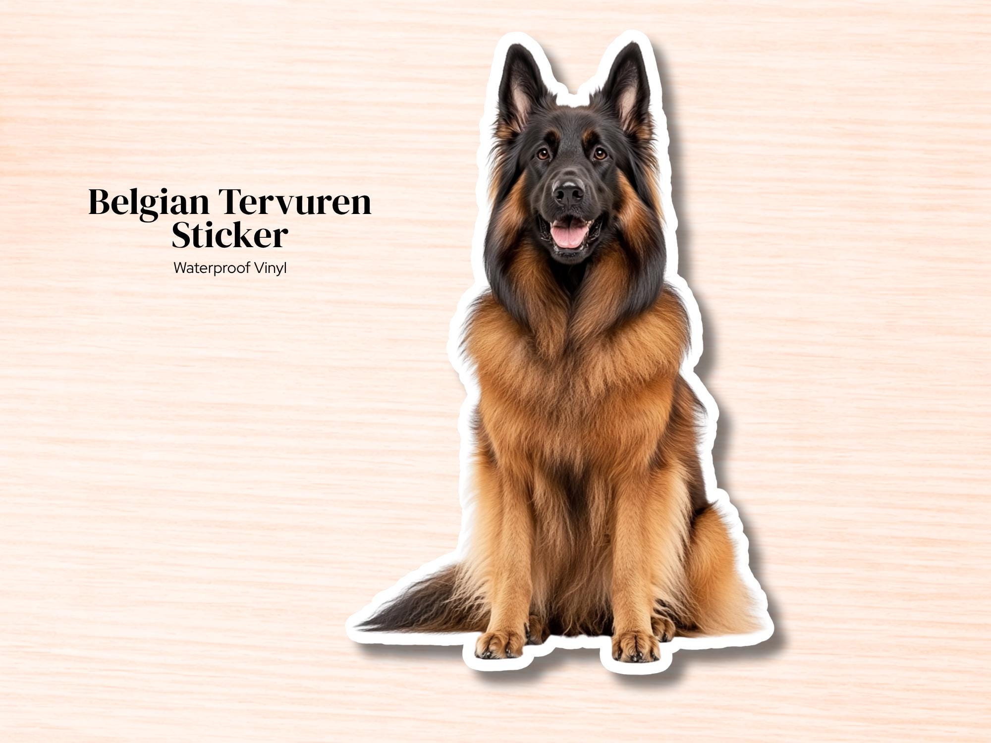 Belgian Tervuren Sticker | Waterproof Vinyl Dog Decal