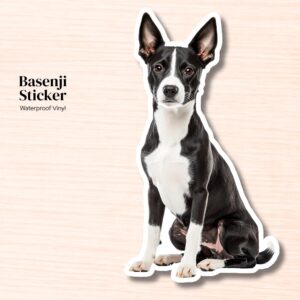 Basenji Sticker | Waterproof Vinyl Dog Decal