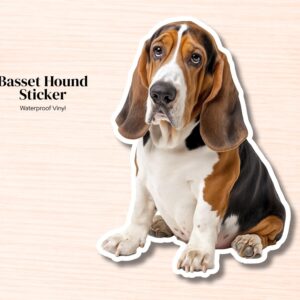 Basset Hound Sticker | Waterproof Vinyl Dog Decal