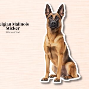 Belgian Malinois Sticker | Waterproof Vinyl Dog Decal
