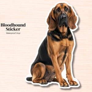 Bloodhound Sticker | Waterproof Vinyl Dog Decal