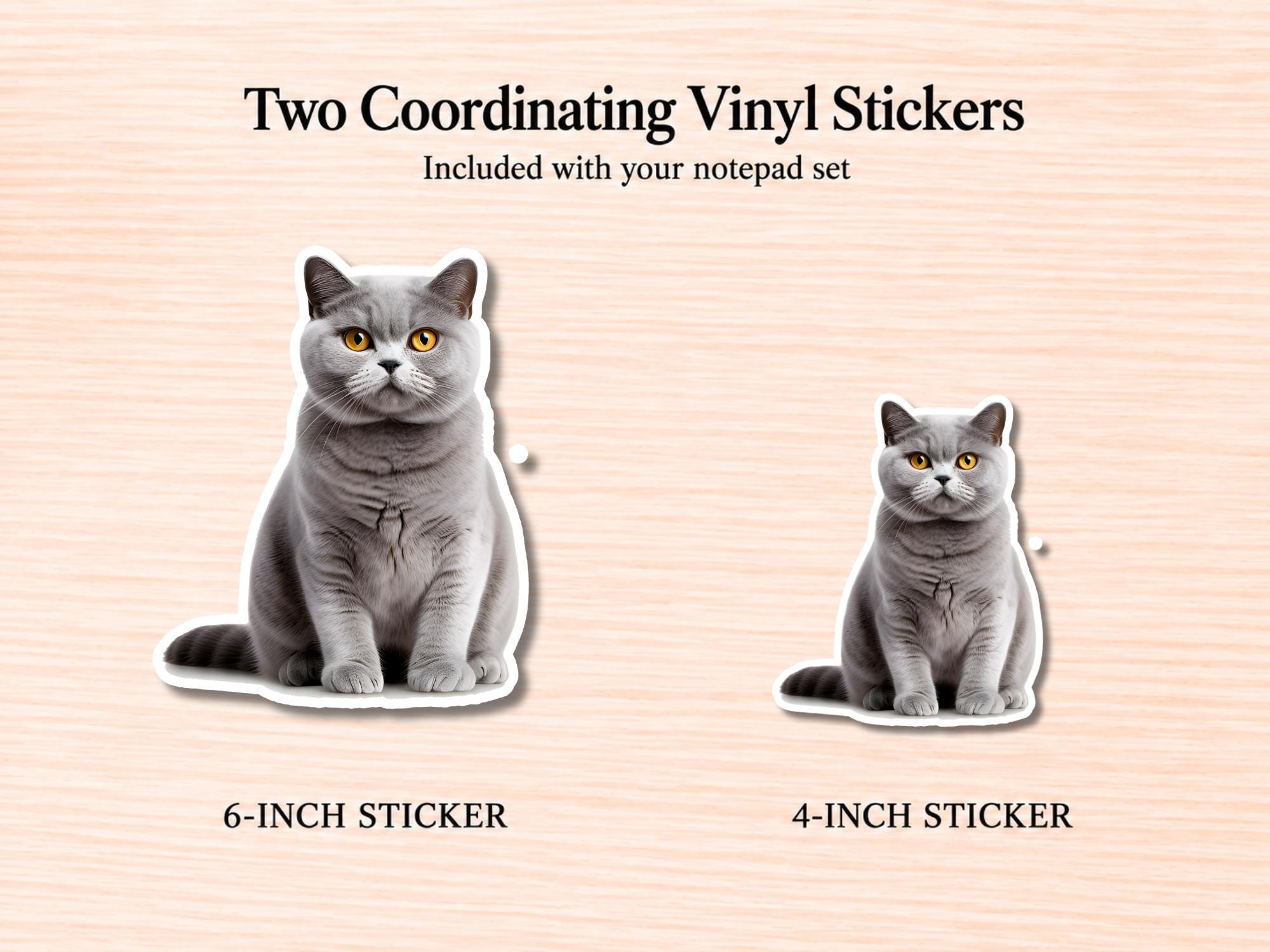 British Shorthair Cat Stationery Gift Box | Personalized Notepads and Vinyl Cat Stickers